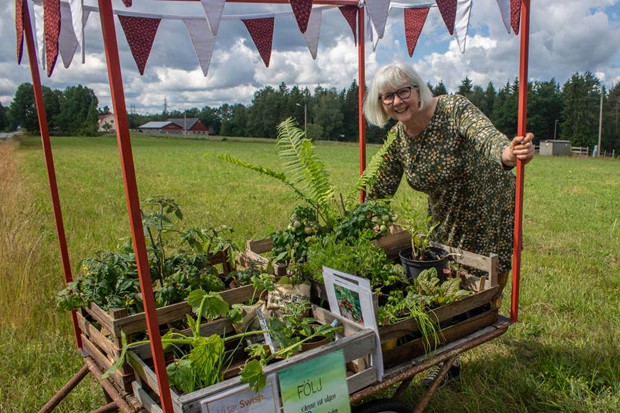 Uppt�ck Benestad: K�rran vid v�gen �r fylld av l�ckerheter