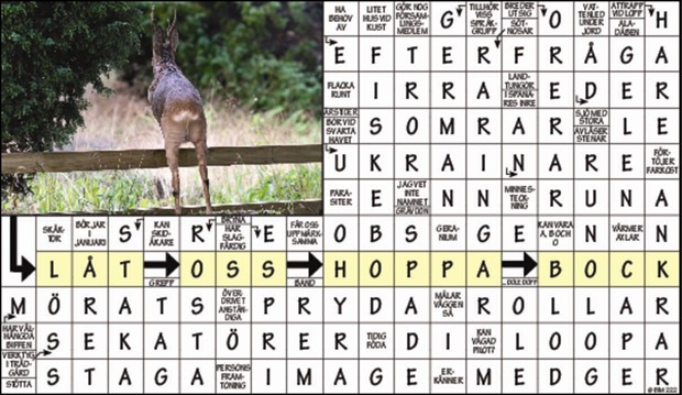 Krysset lsning vecka 18, 2024