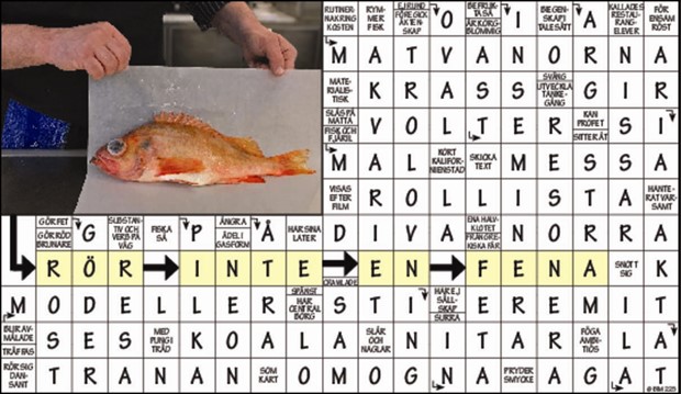 Krysset l�sning vecka 21, 2024