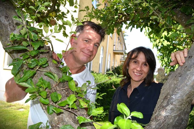 Staglabergets Salonger p ster har ftt en hlsoklinik