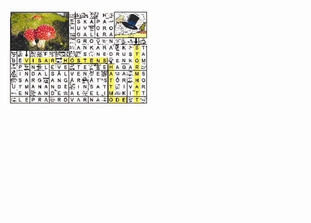 Krysset lsning vecka 42, 2024