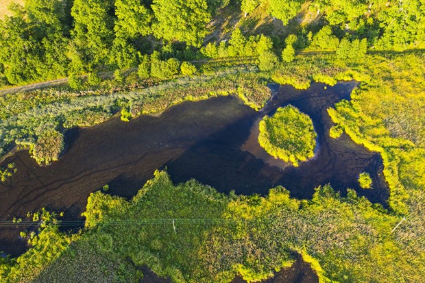 Våtmark i Växjö ska återställas Våtmark i Växjö ska återställas