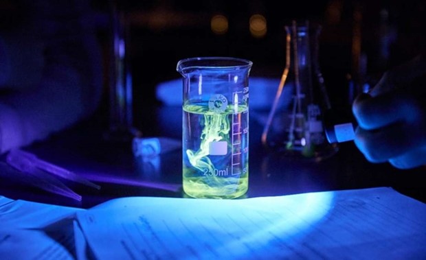 V�xj�skolor kan vinna pris av Nobelprismuseet 