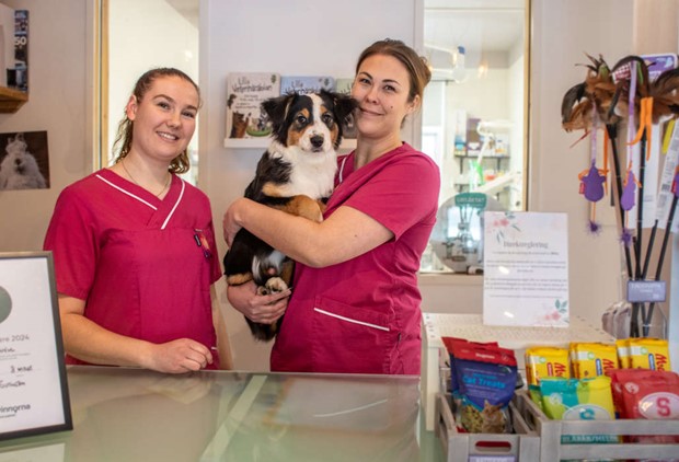 Vislanda Veterinärklinik firar ett år: ”Det har varit roligare än vad jag någonsin kunde tro” Vislanda Veterinärklinik firar ett år: ”Det har varit roligare än vad jag någonsin kunde tro”