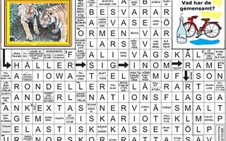 Krysset lsning v12, 2025