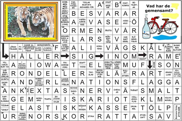 Krysset lsning v12, 2025
