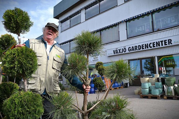 Nu är bästa tiden för Ejes trädgårdsbutik Nu är bästa tiden för Ejes trädgårdsbutik