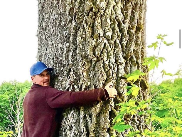 Avancerad tr�df�llning kr�ver mer �n mod � s�kerheten i centrum