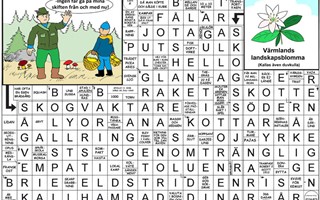 Krysset lsning v14, 2025