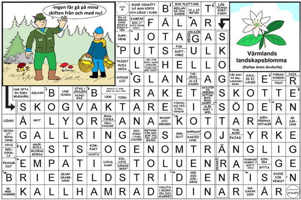 Krysset lsning v14, 2025