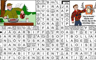 Krysset lsning v15, 2025