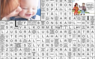 Krysset lsning v17, 2025