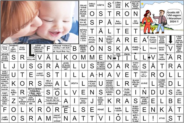 Krysset lsning v17, 2025