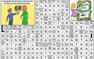 Krysset lsning v28, 2025