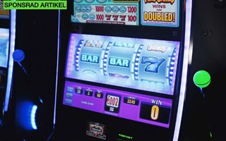 Fysiska Vs. Online Slots: Vilka B�r V�xj�bor Spela? 