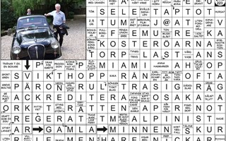 Krysset lsning v30, 2025