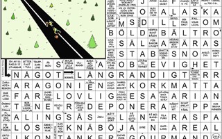 Krysset lsning v31, 2025
