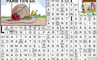 Krysset lsning v33, 2025