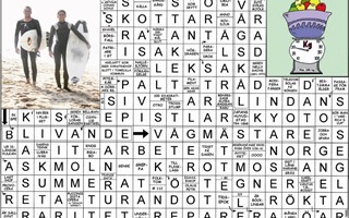 Krysset lsning v34, 2025