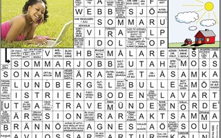 Krysset lsning v35, 2025