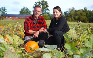 MAT-rundan r avgrande frfrsljningen - jttebra koncept