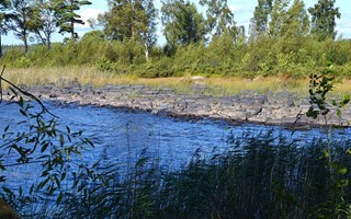 Oro fr lga vattenniver i snen  Det r en katastrof fr sjn 