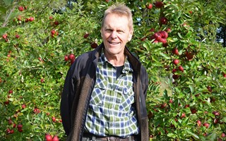 ppelodling i stndig frndring  s  pverkas frukten av varmare klimat 