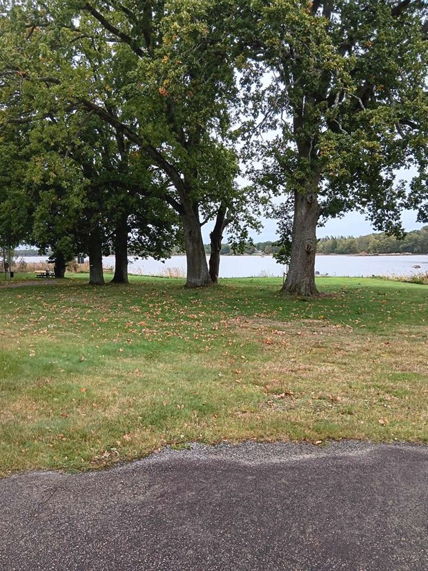 Årets Höstbilrunda bjöd på höstrusk Årets Höstbilrunda bjöd på höstrusk