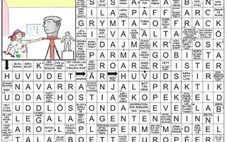 Krysset lsning v42, 2025