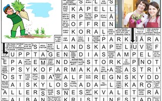 Krysset lsning v43, 2025