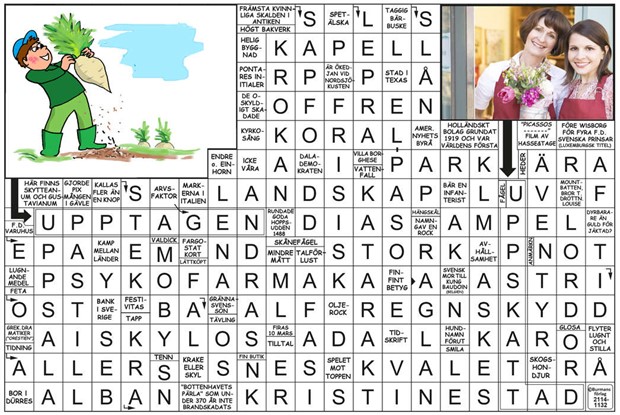 Krysset lsning v43, 2025