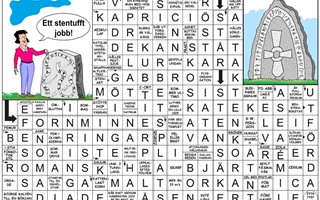 Krysset lsning v45, 2025