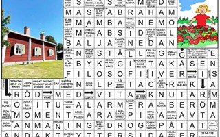 Krysset l�sning v46, 2025