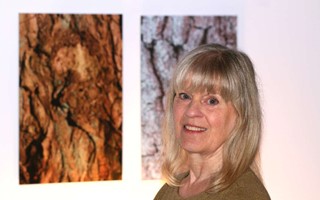 Naturen i fokus  Nordiskdesigntrend p landsbygden