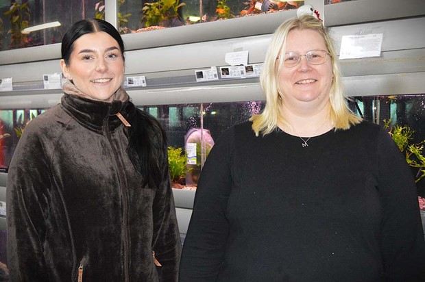 Ormen vckte intresse nr zoobutiken invigde nya lokaler