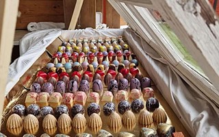 Efter den tuffa tiden drmmer hon om att arbeta med choklad p heltid