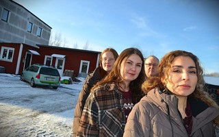 Djurskyddet Sigfrids katthem vdjar om hjlp - hotas av nedlggning 