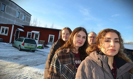 Djurskyddet Sigfrids katthem vdjar om hjlp - hotas av nedlggning 