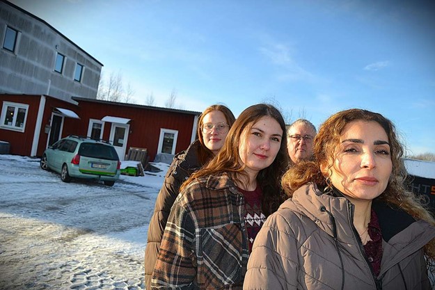 Djurskyddet Sigfrids katthem vdjar om hjlp - hotas av nedlggning 