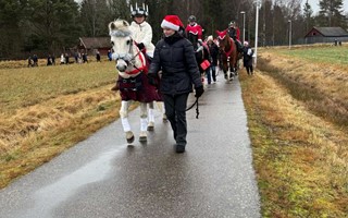 5:e ret med ridande luciatg i Grimslv