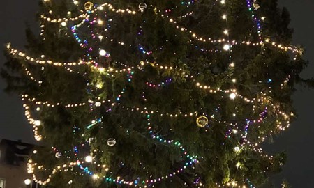 Hatstorm mot kommunens stora gran p Allbotorget