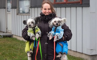 Ny djursalong �ppnar i Alvesta