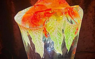 Jim st�ller ut i Tegnaby i jul - med Irene som g�startist