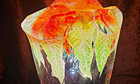 Jim st�ller ut i Tegnaby i jul - med Irene som g�startist