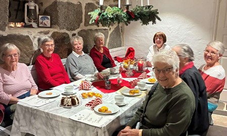 Lions bidrag tog Alvestas m�tesplatser p� resa igen 