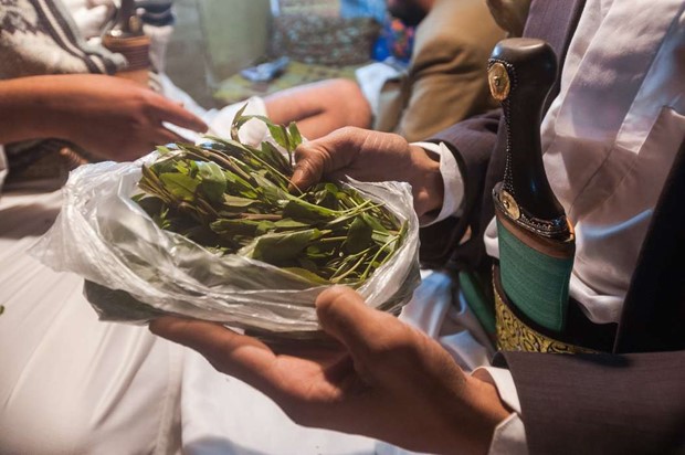 Man i V�xj� hade kat i l�genheten