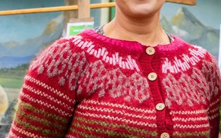 F�rfattarbes�k i V�xj� och Alvesta 