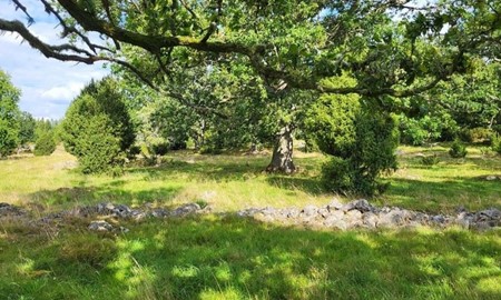 Asa S�teri prisas f�r landskapsv�rd