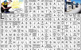 Krysset l�sning vecka 47, 2025