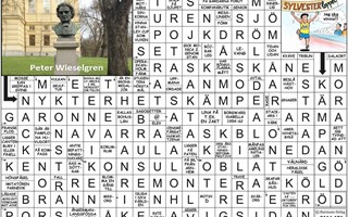 Krysset l�sning vecka 3, 2026